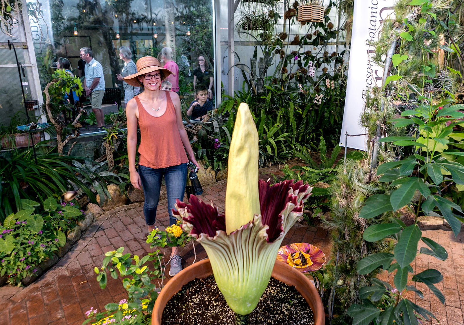 Corpse flower